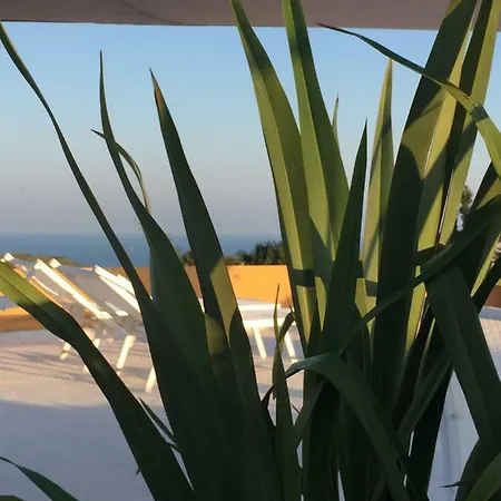 Finca Al Mare Feriehus Forio di Ischia