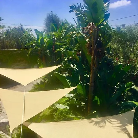 Finca Al Mare * Forio di Ischia